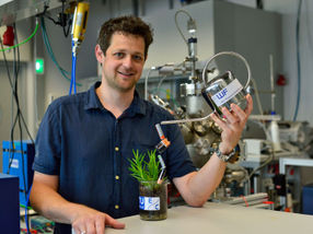 Feeding plants with electricity