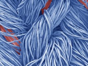 Eco-friendly textiles without PFAS