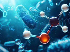 Bacteria for climate-neutral chemicals of the future