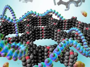 Researchers develop a detector for continuously monitoring toxic gases