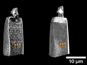 The dark side of transmission X-ray microscopy
