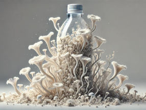 Efficient plastic-feeding fungi in freshwater ecosystems identified