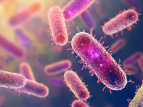 Upcycling excess carbon dioxide with tiny microbes
