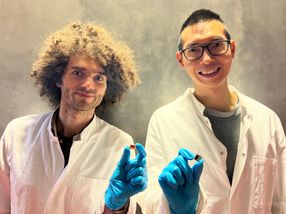 Record efficiency - tandem solar cells made from perovskite and organic material
