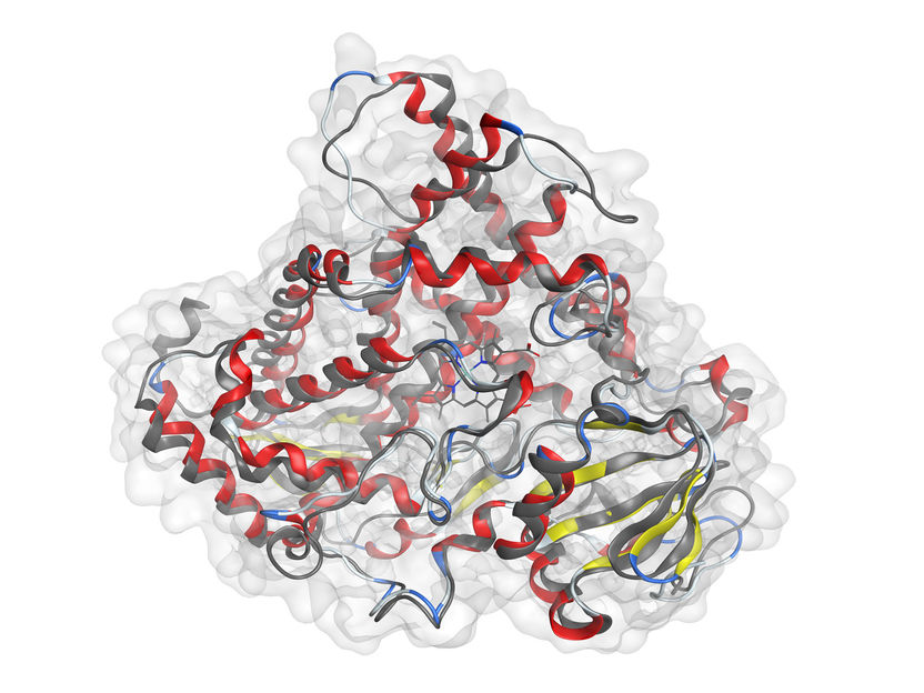 Nobel Prize in Chemistry: How protein discoveries benefit research at BASF - Computational protein design and protein structure prediction speed up day-to-day research