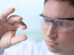 Gluing with starch: bio-based adhesives for industrial applications