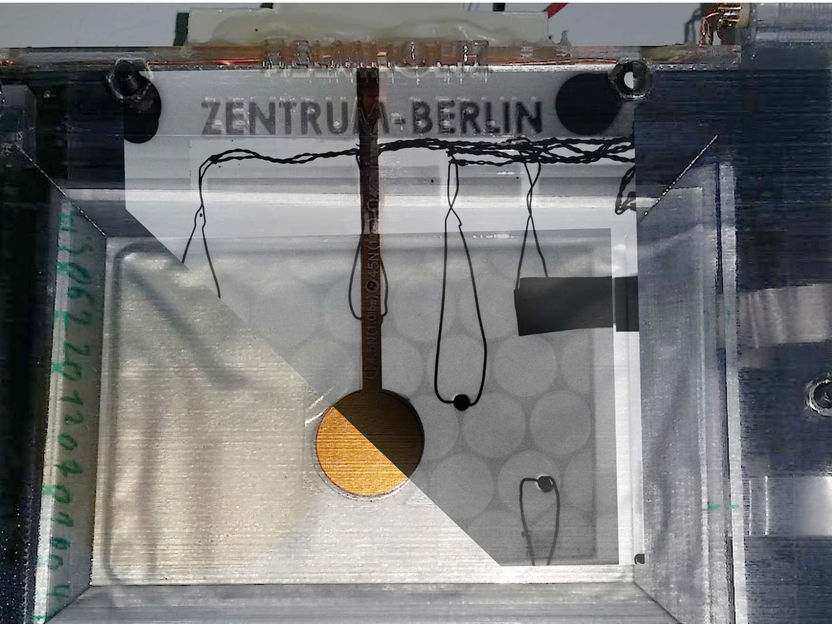 Lithium-sulphur pouch cells investigated at BESSY II - Degradation processes examined