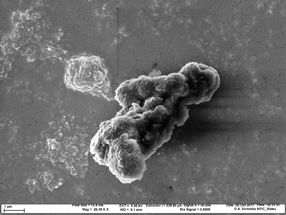 From soot particle filters to renewable fuels