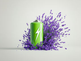 Flower power: lavender oil for longer-lasting sodium-sulfur batteries