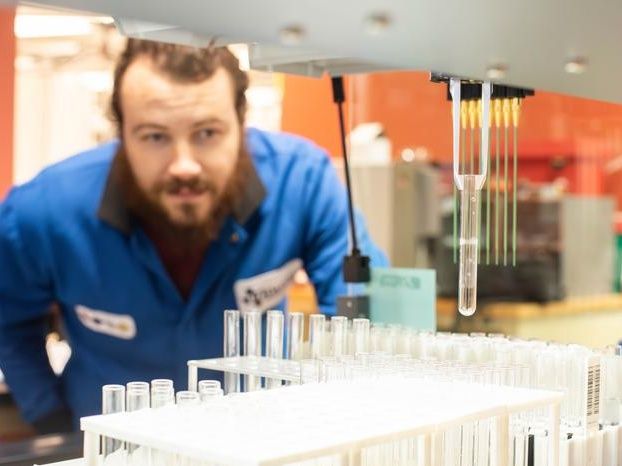 Engineers discover key barrier to longer-lasting batteries - University of Texas at Dallas researchers have discovered why LiNiO2 batteries break down
