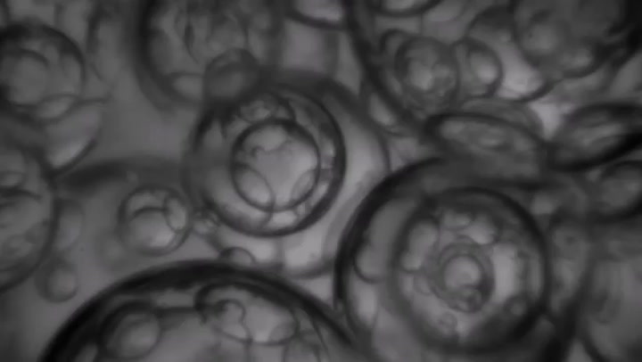Measure particle sizes from 0.5 to 50,000 µm in real-time and under the most extreme process conditions