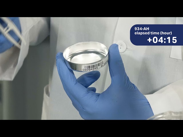 Meet wastewater regulations with the right filter