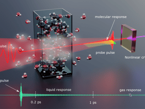 Femtosecond-fieldoscopy accesses molecules fingerprints at near-infrared spectral range